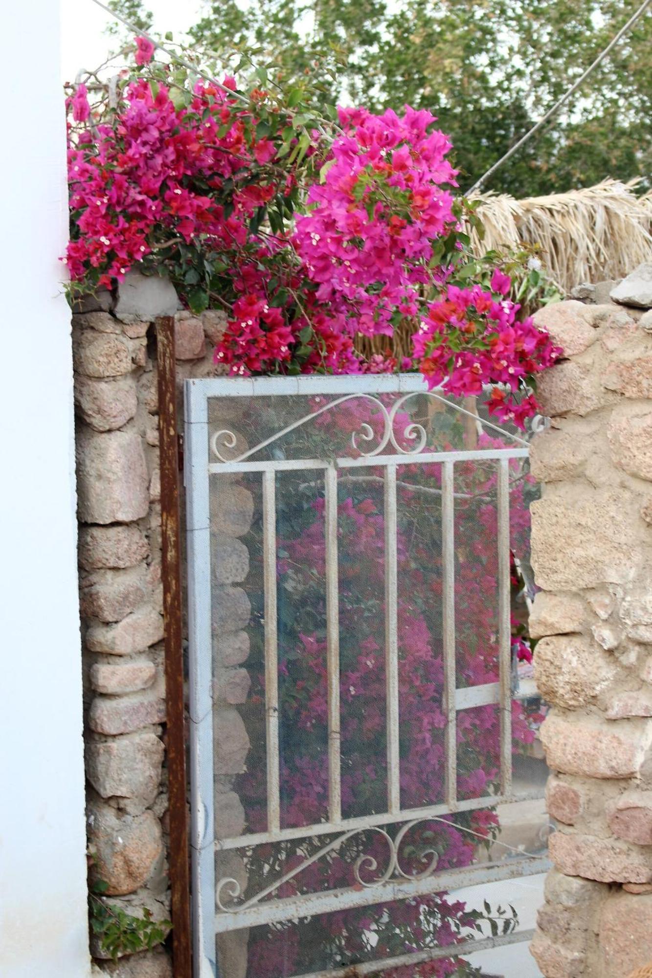 Sinai Old Spices B&B Sharm El Sheikk Quarto foto